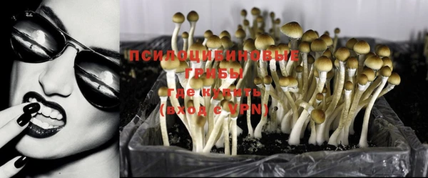 прущая мука Алексин