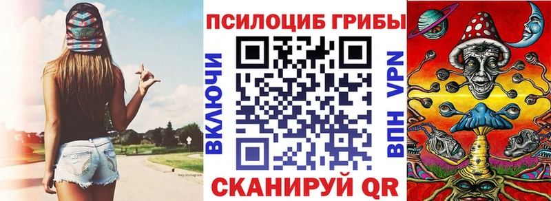 как найти закладки  Алексеевка  Псилоцибиновые грибы мицелий 